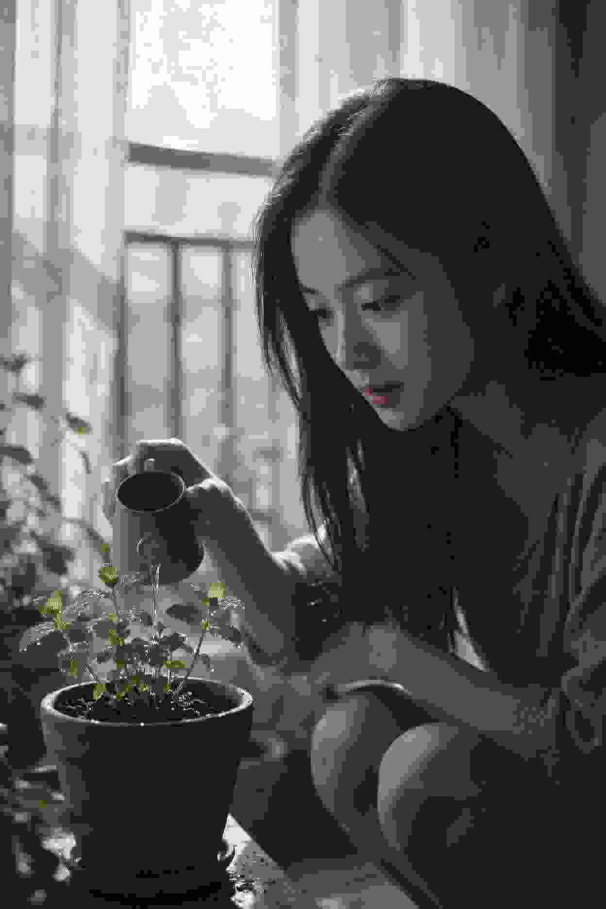 射雕英雄传